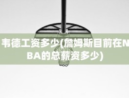 韦德工资多少(詹姆斯目前在NBA的总薪资多少)