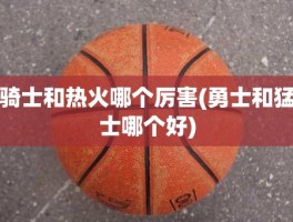 骑士和热火哪个厉害(勇士和猛士哪个好)