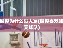 詹俊为什么没人骂(詹俊喜欢哪支球队)