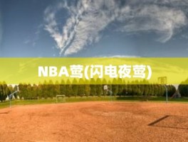 NBA莺(闪电夜莺)