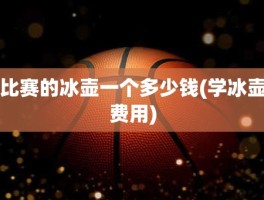 比赛的冰壶一个多少钱(学冰壶费用)