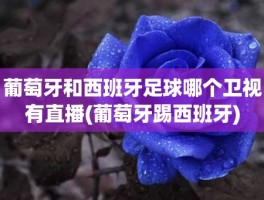 葡萄牙和西班牙足球哪个卫视有直播(葡萄牙踢西班牙)