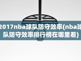 2017nba球队防守效率(nba球队防守效率排行榜在哪里看)