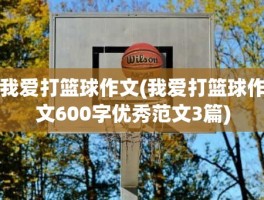 我爱打篮球作文(我爱打篮球作文600字优秀范文3篇)