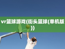 vr篮球游戏(街头篮球(单机版))
