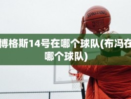 博格斯14号在哪个球队(布冯在哪个球队)