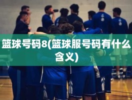 篮球号码8(篮球服号码有什么含义)