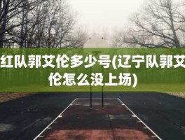 红队郭艾伦多少号(辽宁队郭艾伦怎么没上场)