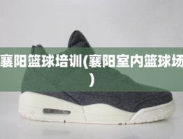襄阳篮球培训(襄阳室内篮球场)