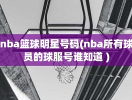 nba篮球明星号码(nba所有球员的球服号谁知道 )