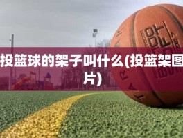 投篮球的架子叫什么(投篮架图片)