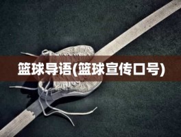 篮球导语(篮球宣传口号)