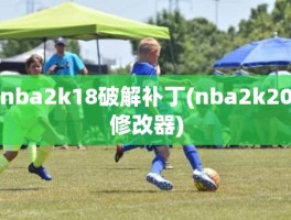 nba2k18破解补丁(nba2k20修改器)