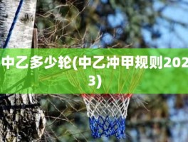 中乙多少轮(中乙冲甲规则2023)