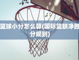 篮球小分怎么算(国际篮联净胜分规则)
