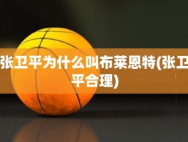 张卫平为什么叫布莱恩特(张卫平合理)