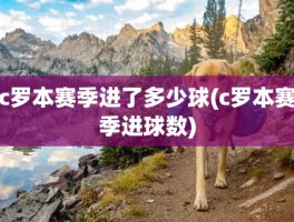 c罗本赛季进了多少球(c罗本赛季进球数)