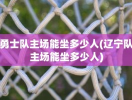 勇士队主场能坐多少人(辽宁队主场能坐多少人)
