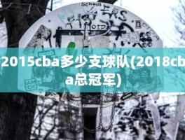 2015cba多少支球队(2018cba总冠军)