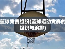 篮球竞赛组织(篮球运动竞赛的组织与编排)