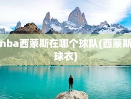 nba西蒙斯在哪个球队(西蒙斯球衣)