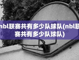 nbl联赛共有多少队球队(nbl联赛共有多少队球队)