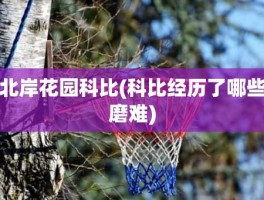 北岸花园科比(科比经历了哪些磨难)