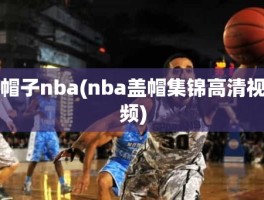 帽子nba(nba盖帽集锦高清视频)