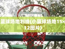 篮球场地划线(小篮球场地15×12图片)