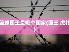 篮球国王是哪个国家(国王 虎扑)