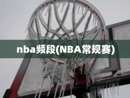 nba频段(NBA常规赛)