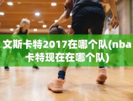 文斯卡特2017在哪个队(nba卡特现在在哪个队)