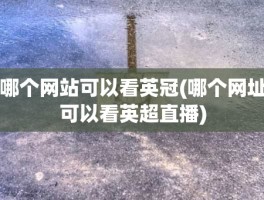 哪个网站可以看英冠(哪个网址可以看英超直播)
