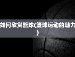 如何欣赏篮球(篮球运动的魅力)