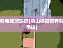 羽毛球篮球馆(唐山体育馆有羽毛球)