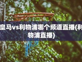 皇马vs利物浦哪个频道直播(利物浦直播)
