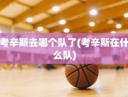 考辛斯去哪个队了(考辛斯在什么队)
