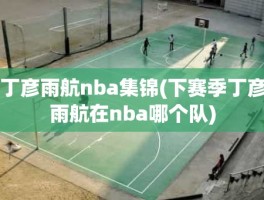 丁彦雨航nba集锦(下赛季丁彦雨航在nba哪个队)