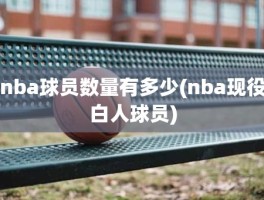 nba球员数量有多少(nba现役白人球员)