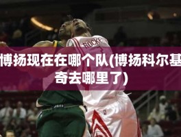 博扬现在在哪个队(博扬科尔基奇去哪里了)