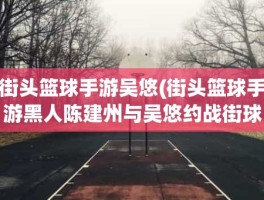 街头篮球手游吴悠(街头篮球手游黑人陈建州与吴悠约战街球场)