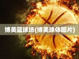博美篮球场(博美球体图片)
