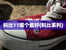 科比11哪个最好(科比系列)