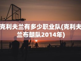 克利夫兰有多少职业队(克利夫兰布朗队2014年)