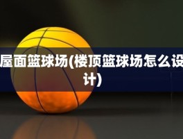 屋面篮球场(楼顶篮球场怎么设计)