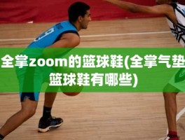 全掌zoom的篮球鞋(全掌气垫篮球鞋有哪些)