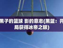 黑子的篮球 影的意志(黑篮：开局获得冰帝之眼)