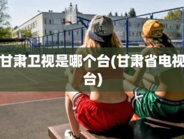甘肃卫视是哪个台(甘肃省电视台)