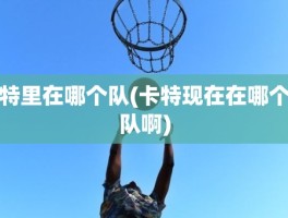 特里在哪个队(卡特现在在哪个队啊)