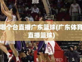 哪个台直播广东篮球(广东体育直播篮球)